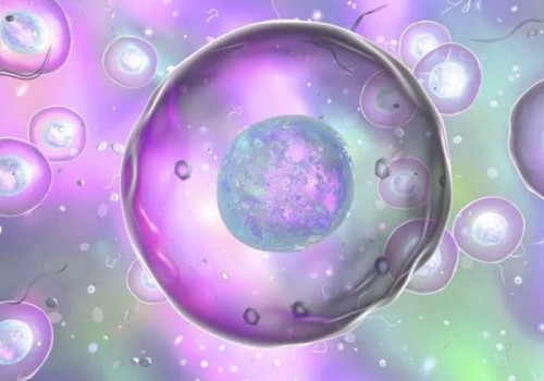 易坦静副作用一览，家长们需重视孩子的健康安全！